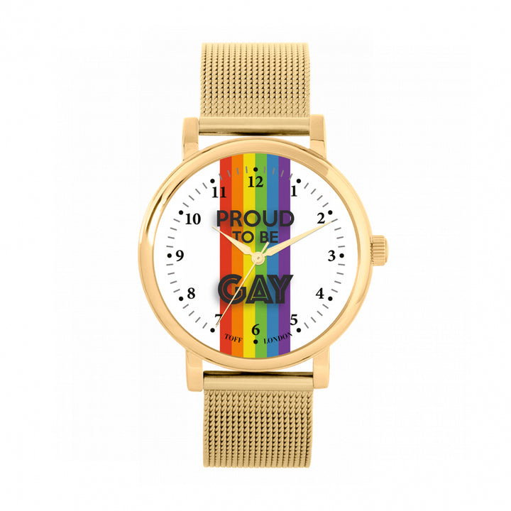 38mm Pride Rainbow Linear Proud Watch