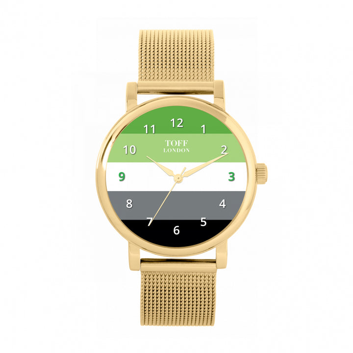 38mm Pride Aromantic Flag Watch