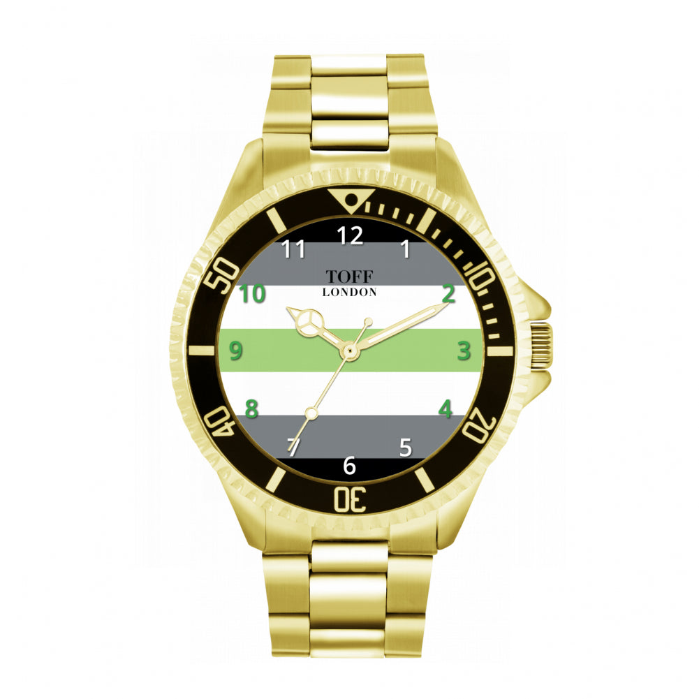 42mm Pride Agender Flag Watch