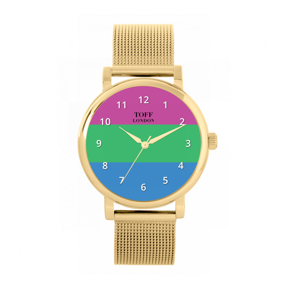 38mm Pride Polysexual Flag Watch