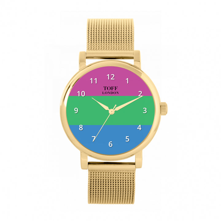 38mm Pride Polysexual Flag Watch