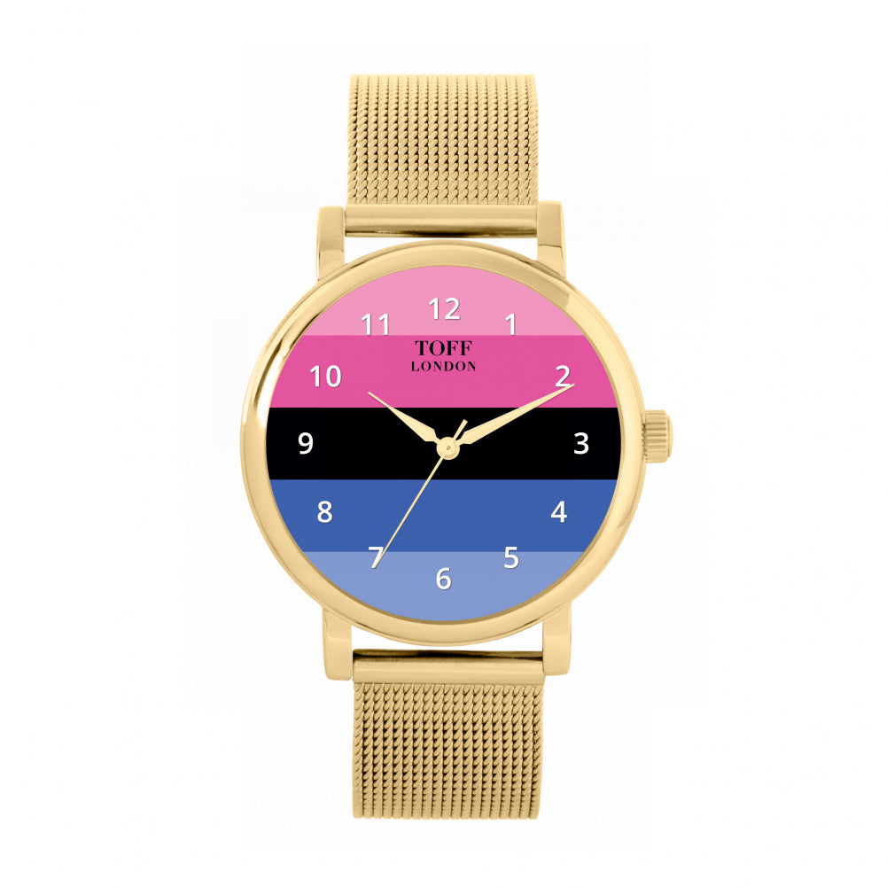 38mm Pride Omnisexual Flag Watch