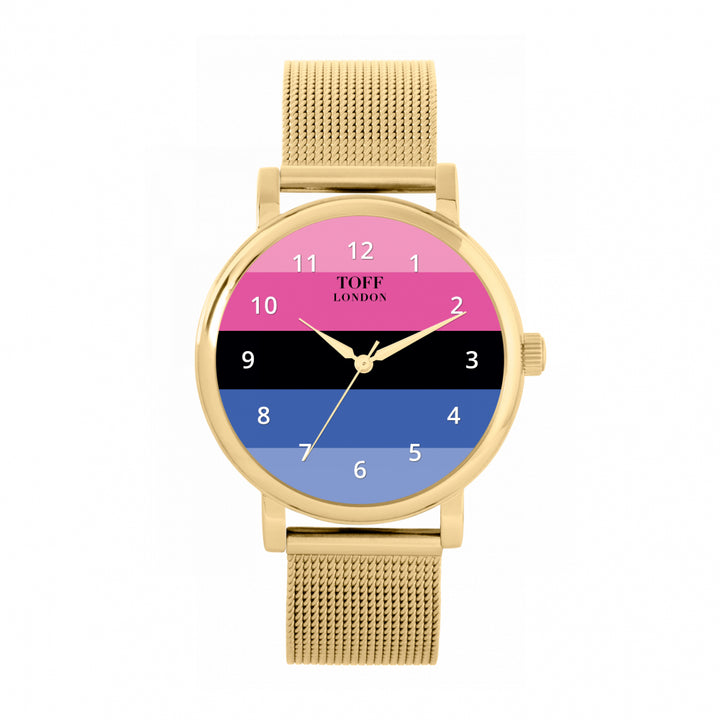 38mm Pride Omnisexual Flag Watch
