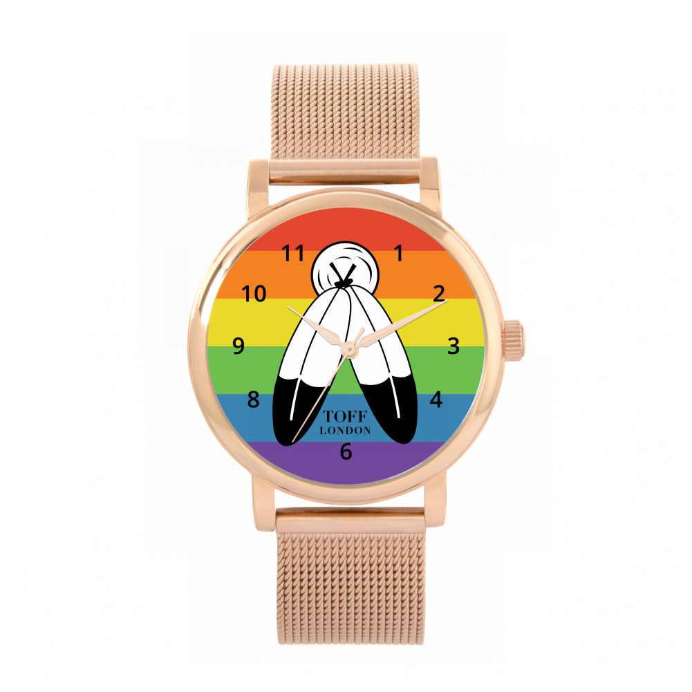 38mm Pride Two Spirit Flag Watch